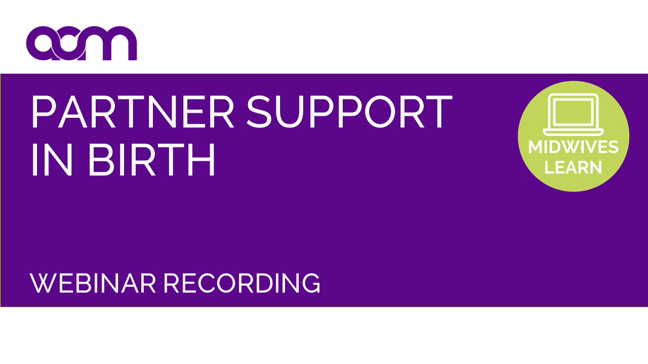 Partner Support in Birth Online Panel